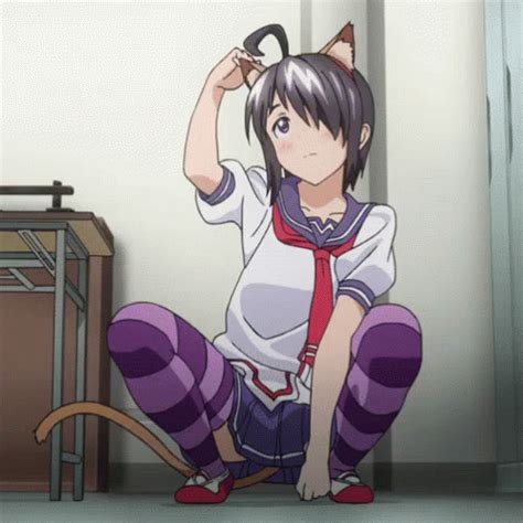 anime meow